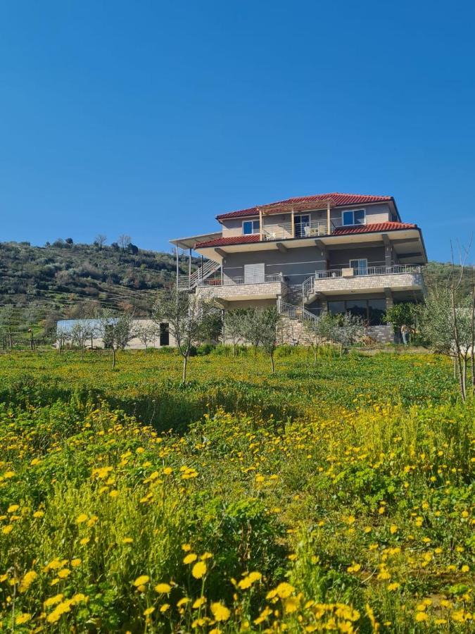 Guest House Ilir Berat Bagian luar foto